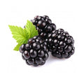 MULBERRY JAM 1KG