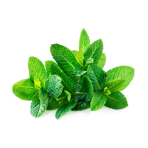 Mint Syrup for Bubble Tea Drinks